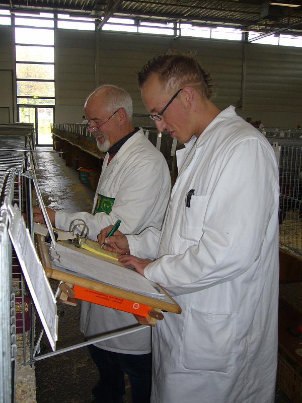 Muenster 2008 006.jpg - Die Preisrichter geben sich mühe um die Tiere richtig zu benoten